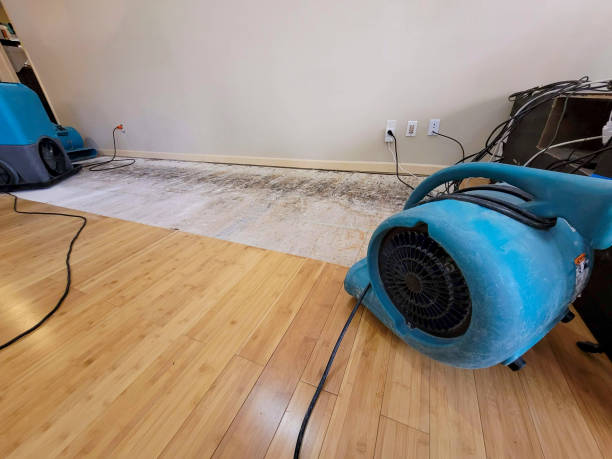 Professional Structural Drying technician working in Manor, TX